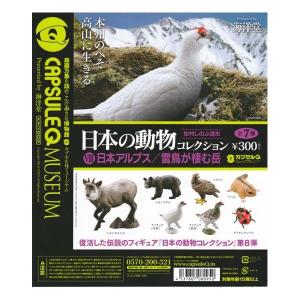海洋堂 カプセルQ ミュージアム 日本の動物コレクション 8.日本