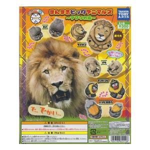 まんまるどうぶつ まんまるビッグアニマルズ 〜アフリカ編〜 全5種