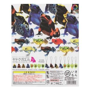 ヤドクガエル1　マグネット　ストラップ　ネイチャーテクニカラー　フルコンプ ヤドクガエル マグネット×ストラップ – ネイチャーテクニカラー公式