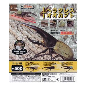 1/1 ヘラクレスオオカブト 全3種フルコンプセット SO-TA ソータ ガチャポン デスクトップ フィギュア 昆虫 HirokA 河野博史氏監修
