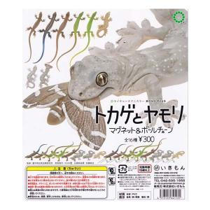 ネイチャーテクニカラー MONO PLUS トカゲとヤモリ マグネット＆ボールチェーン 全16種フルコンプセット いきもん ガチャポン フィギュア｜daidara2007