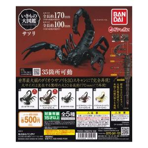 いきもの大図鑑 サソリ 全5種フルコンプセット バンダイ