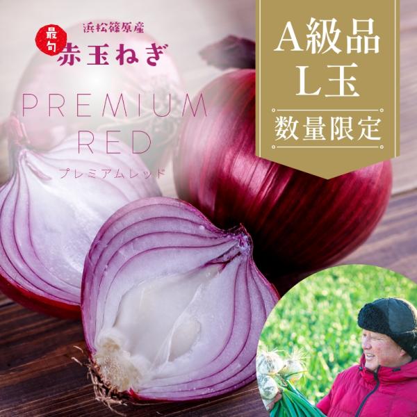 たまねぎ 浜松篠原産 A級品L玉 赤玉ねぎプレミアムレッド5kg  新玉ねぎ タマネギ 玉葱 紫玉ね...