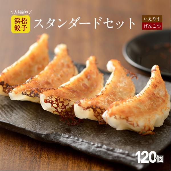 【行列店の浜松餃子】いえやす餃子とげんこつ餃子のスタンダードセット【120個】贈答用 浜松ぎょうざ