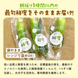 静岡県産とうもろこし 甘々娘 甘太郎 M〜3L...の詳細画像5
