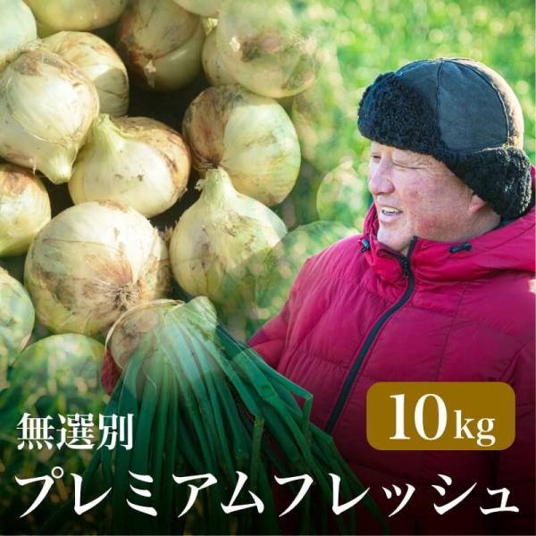 新玉ねぎ プレミアムフレッシュ 無選別 10kg たまねぎ 玉ねぎ 国産 浜松篠原産