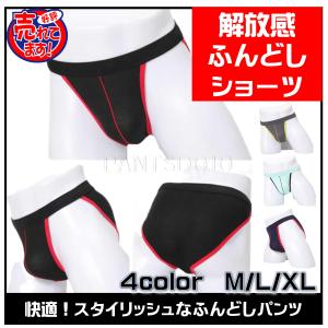ふんどしパンツ メンズ ショーツ 効果 褌 黒 男性 女性
