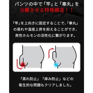 ボクサーパンツ メンズ 分離型 メンズ下着 セ...の詳細画像4