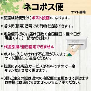 素焼きカシュナッツ 1kg 無塩カシューナッツ...の詳細画像4