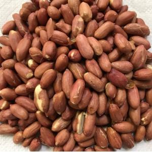 皮付きピーナッツ 1kg 味付け落花生 塩味 ...の詳細画像3