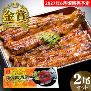 国産 うなぎ蒲焼 駿河大五郎 2尾セット うなぎギフト...