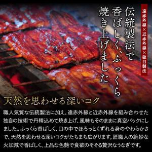 国産うなぎ蒲焼 うなっ娘 2尾 うなぎ 鰻 ウ...の詳細画像3