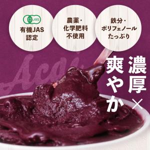 サンバゾン オーガニック 冷凍 アサイー 12...の詳細画像2