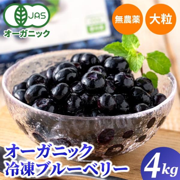 冷凍ブルーベリー 無農薬 4kg (200g×20袋)  オーガニック ブルーベリー 有機 JAS ...