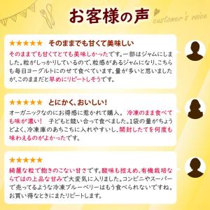 冷凍ブルーベリー 無農薬 4kg (200g×...の詳細画像2