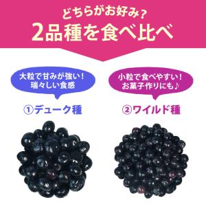 オーガニック冷凍ブルーベリー食べ比べセット80...の詳細画像1