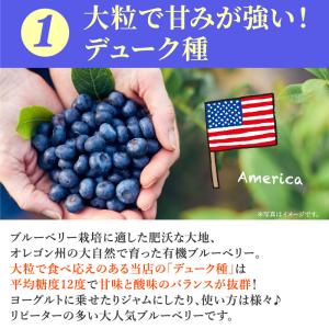 オーガニック冷凍ブルーベリー食べ比べセット80...の詳細画像2