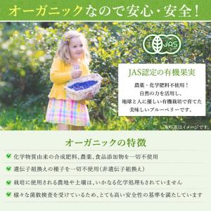 オーガニック冷凍ブルーベリー食べ比べセット80...の詳細画像4