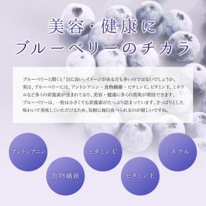 オーガニック冷凍ブルーベリー食べ比べセット80...の詳細画像5