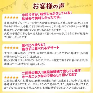 オーガニック 冷凍 ワイルドブルーベリー 3k...の詳細画像1