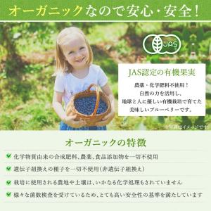冷凍ブルーベリー 無農薬 4kg (200g×...の詳細画像4