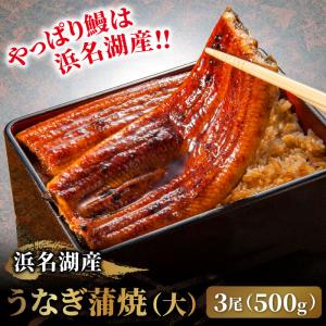 浜名湖産うなぎ蒲焼（大）3尾セット［1尾155〜175g 合計500g］ 冷凍 静岡 浜名湖 鰻 ウナギ 国産 静岡県産 簡易包装 タレ・山椒小袋付 送料無料