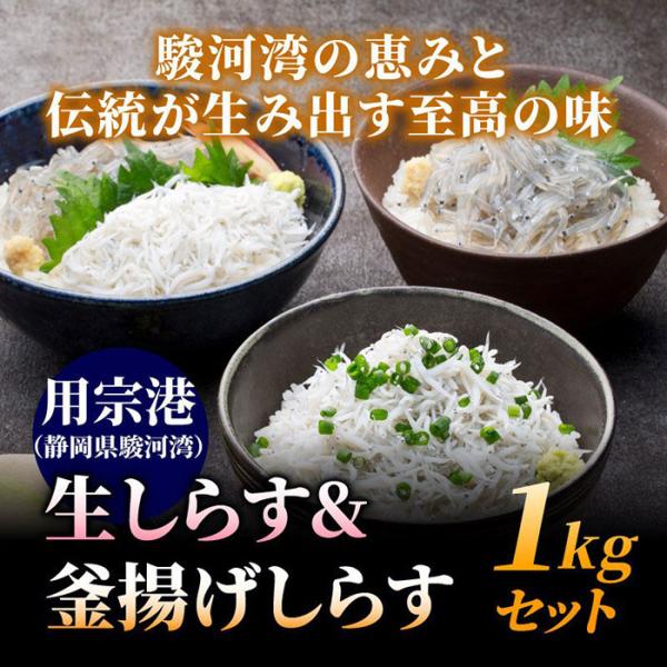 鮮度抜群！静岡県産 生しらす＆釜揚げしらす1kgセット シラス しらす 生シラス 釜揚げ 冷凍 用宗...