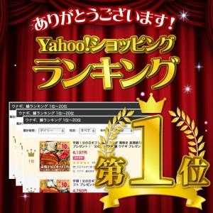 お中元 うなぎ 国産うなぎ 3種セット 長蒲焼...の詳細画像1