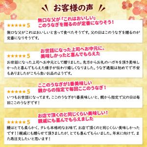 お中元 うなぎ 国産うなぎ 3種セット 長蒲焼...の詳細画像3