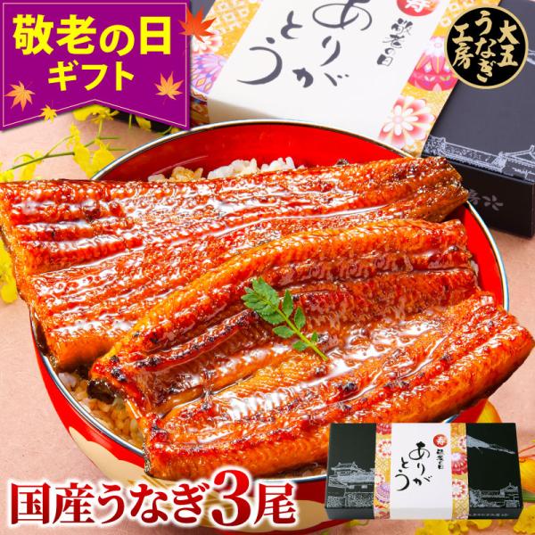 まだ間に合う 父の日 プレゼント 2025 国産うなぎ 長蒲焼 3尾 鰻 ウナギ 蒲焼き 蒲焼 3人...