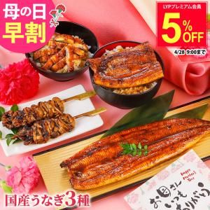 母の日 早割 うなぎ 国産うなぎ 3種セット 母...の商品画像