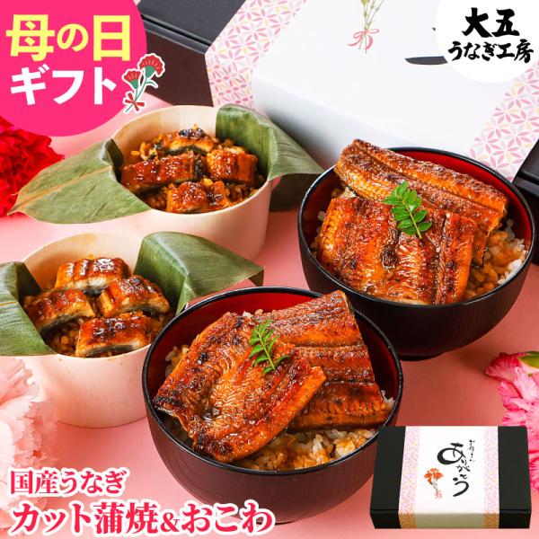 母の日 早割 うなぎ 国産 蒲焼ミニカット4枚＆うなぎおこわ2個 誕生日 プレゼント 鰻 ウナギ 蒲...