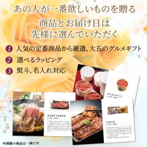 カタログギフト スタンダード グルメ プレゼン...の詳細画像5
