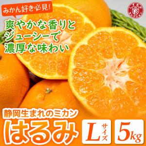 静岡県産 JAしみず はるみ 5kg Lサイズ みかん ミカン 蜜柑 ポンカン ぽんかん 清水 はるみみかん 送料無料｜daigounagi