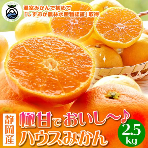 静岡県産 ハウスみかん 夏の宝石 エレ・ミカン2.5kg みかん ミカン 蜜柑 果物 フルーツ 甘い...