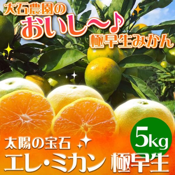 静岡県産 極早生みかん 5kg エレ・ミカン 極早生 日南 ミカン 蜜柑 温州みかん ビタミンC 産...