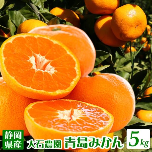 糖分・酸味とも多く濃厚な風味 静岡県産みかんの定番 青島みかん 5kg 5キロエレ・ミカン ミカン ...
