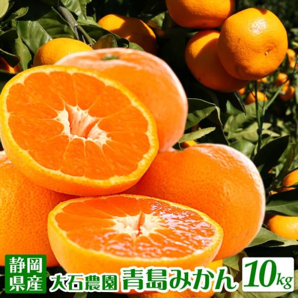 糖分・酸味とも多く濃厚な風味 静岡県産みかんの定番 青島みかん 10kg 10キロ エレ・ミカン ミ...