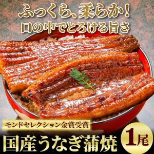 お中元 国産うなぎ長蒲焼(中)1尾 & かつお...の詳細画像2