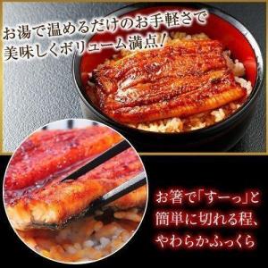 お中元 国産うなぎ長蒲焼(中)1尾 & かつお...の詳細画像4