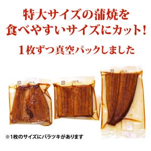 うなぎ 国産 不揃いカット蒲焼 500gセット...の詳細画像1
