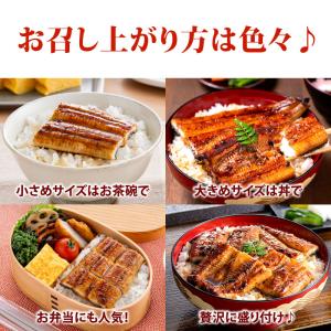うなぎ 国産 不揃いカット蒲焼 500gセット...の詳細画像4