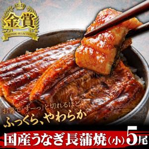 国産うなぎ 長蒲焼(小)5尾セット ご自宅用 簡易箱 送料無料｜daigounagi