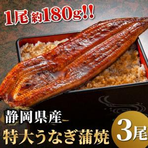 静岡県産 うなぎ蒲焼 特大 3尾セット 国産 静岡産 うなぎ 鰻 ウナギ 土用の丑の日 土用丑 グルメ 60代 70代 80代