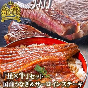 国産うなぎと牛肉の丑牛セット うなぎ長蒲焼＆しずおか和牛 サーロインステーキ 送料無料 お祝い 誕生日 お肉 肉ギフト うなぎギフト｜daigounagi