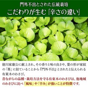 わさび栽培発祥の地「有東木」の本わさび 中サイ...の詳細画像3