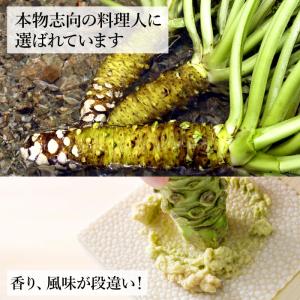 わさび栽培発祥の地「有東木」の本わさび 中サイ...の詳細画像5