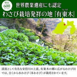 わさび栽培発祥の地「有東木」の本わさび 中サイ...の詳細画像2