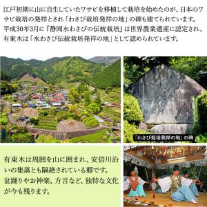 わさび栽培発祥の地「有東木」の本わさび 中サイ...の詳細画像3