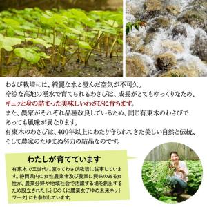 わさび栽培発祥の地「有東木」の本わさび 中サイ...の詳細画像5